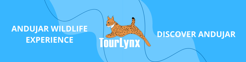 Banner TourLynx Andujar