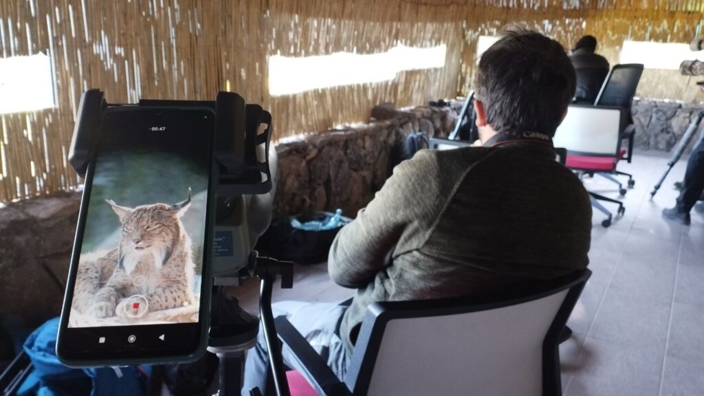  Interior del hide fotográfico de lince ibérico en la Sierra de Andújar. TourLynx